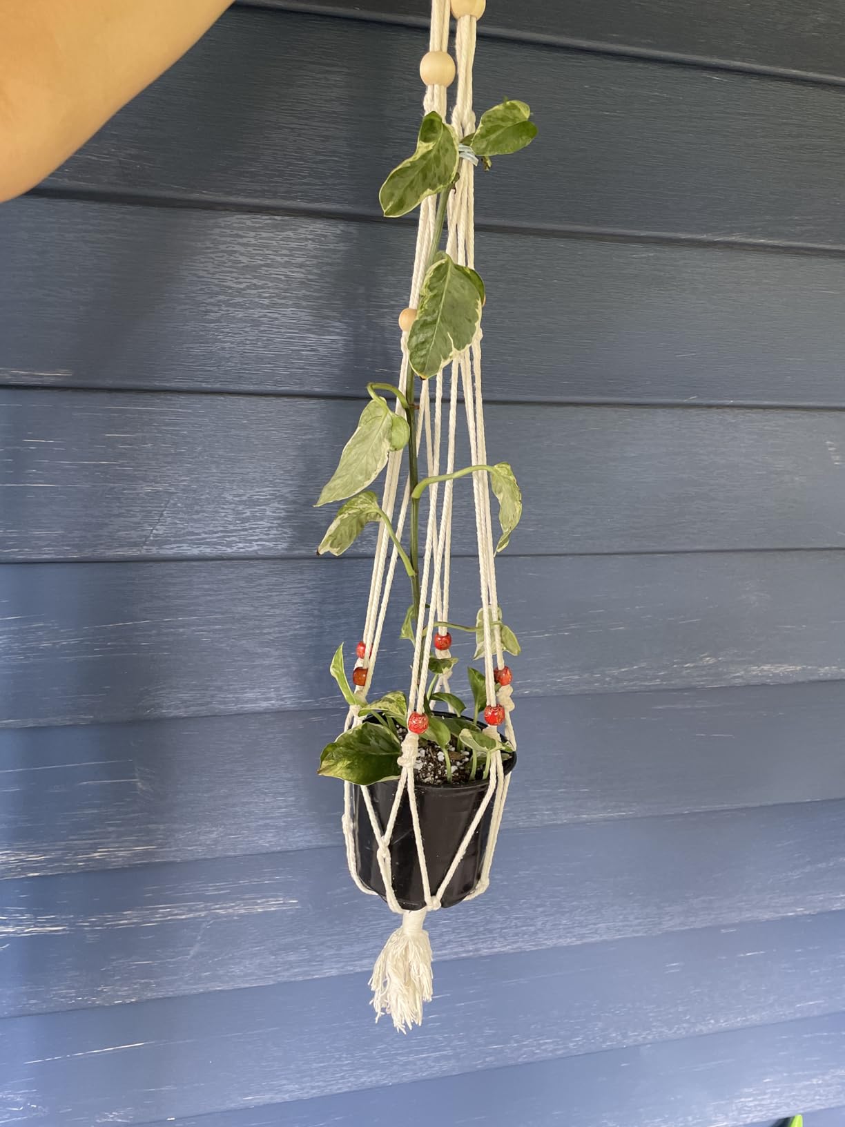 152pcs Macrame Kit for Beginners: Natural Cotton Macrame Cord, Wooden & Metal Rings, Beads, Sticks & Hoops - Perfect for Macrame Plant Hangers & Home Decor customer photo 2
