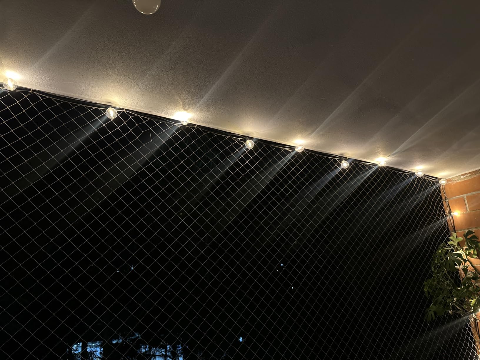 Outdoor String Lights, 55(50+5) FT 25 Bulbs IP65 Waterproof Patio Lights customer photo 2