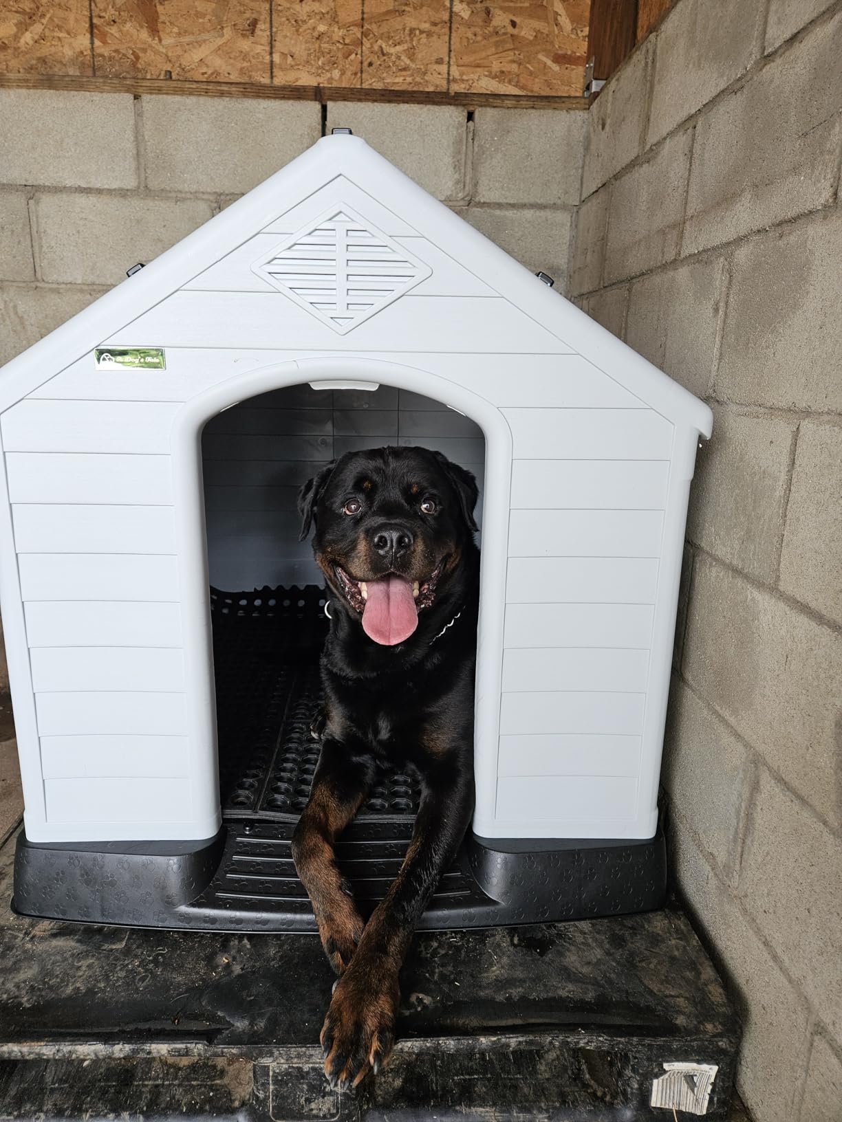LEMBERI Large Dog House, Indoor/Outdoor, Gray 38.8