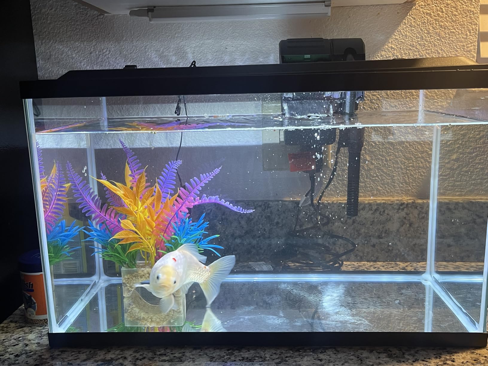 Tetra LED 10 Gallon Complete Fish Tank Kit customer photo 1