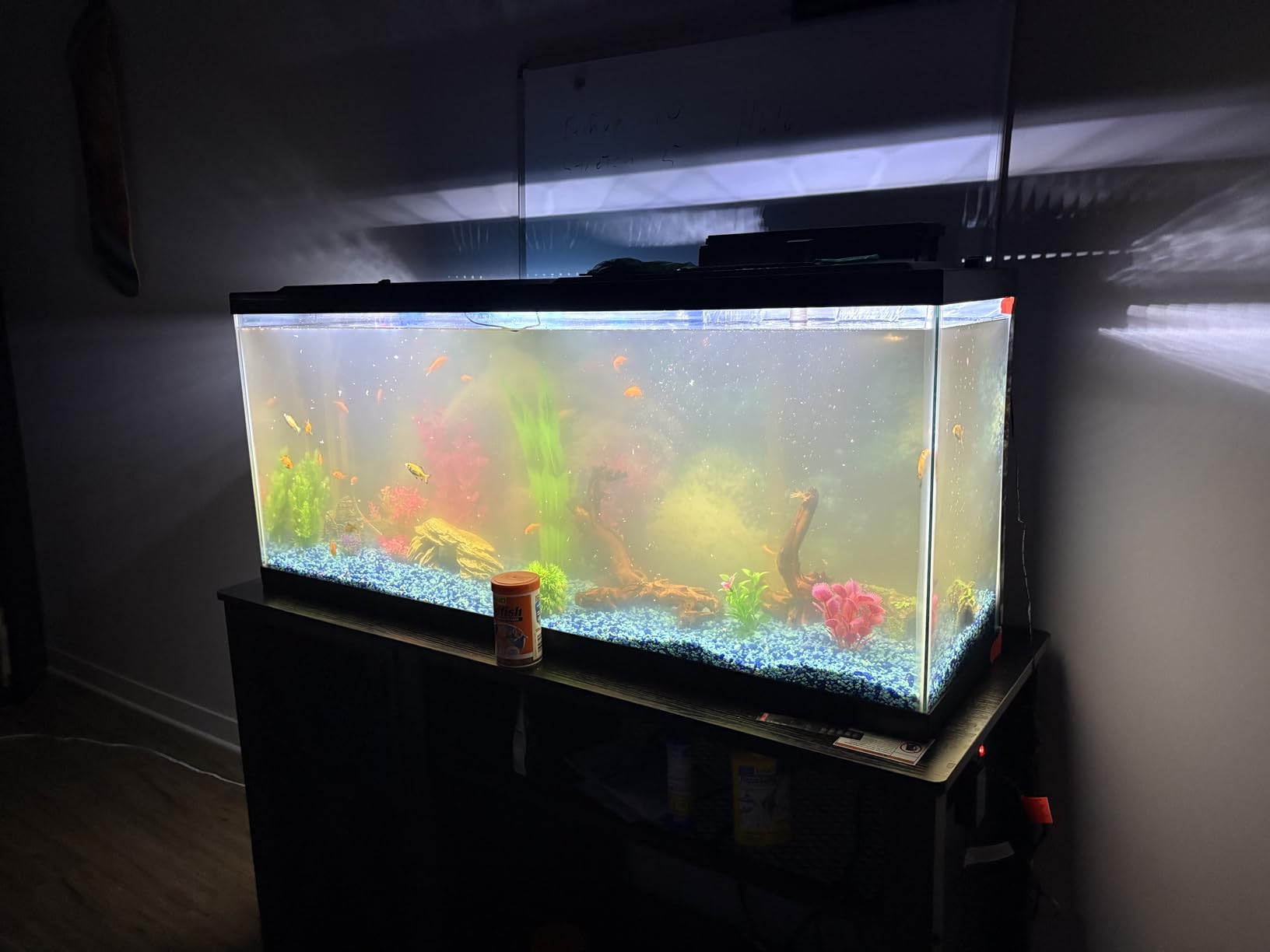 Tetra LED 10 Gallon Complete Fish Tank Kit customer photo 2