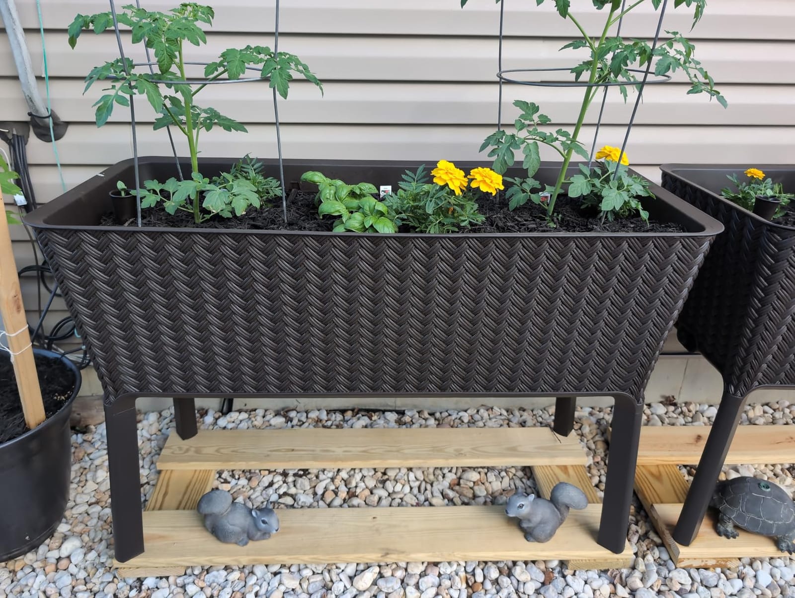 Keter Splendor 31.7 Gallon Raised Garden Bed with Self Watering Planter Box and Drainage Plug - Perfect for Growing Fresh Vegetables, Flowers and Herbs, Brown customer photo 1
