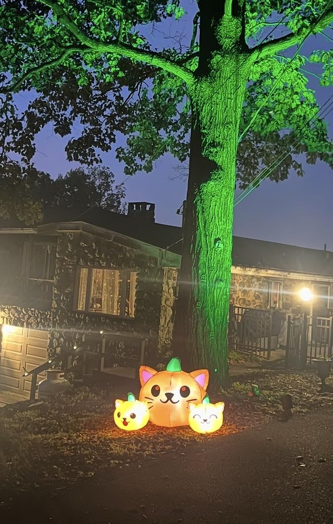 COMIN Halloween Inflatable 5FT Long Three Pumpkin Cat Head Combo with Built-in LEDs, Blow Up Yard Decoration for Holiday Party Indoor, Outdoor, Yard, Garden, Lawn customer photo 2