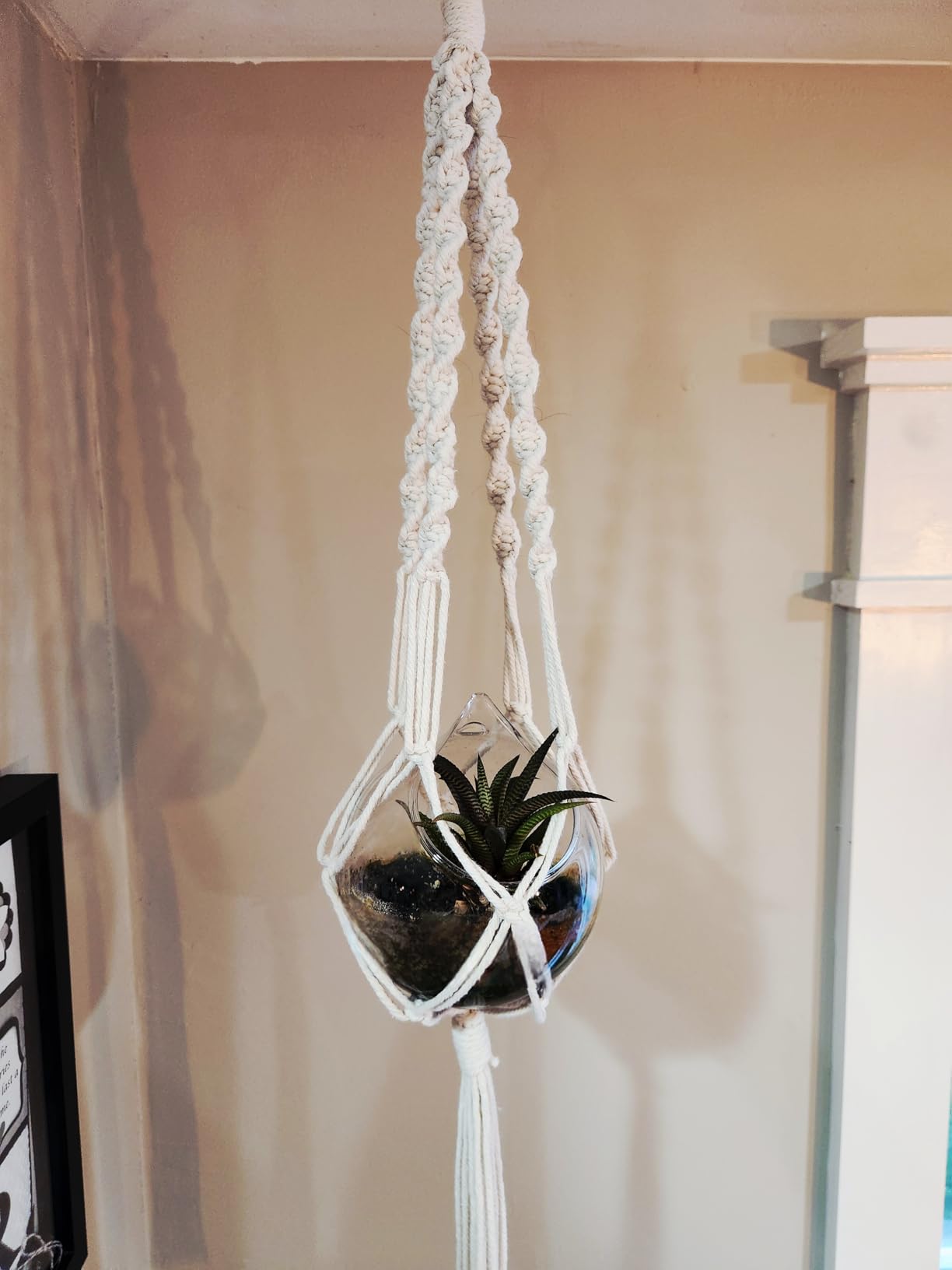 UHAPEER Macrame Kits for Adults Beginners with 656 Feet 3 mm Cotton Cord | DIY Macrame Plant Hanger Kit with Macrame Supplies and Instructions, Macrame Beads, Wooden Rings, Dream Catcher Rings customer photo 2