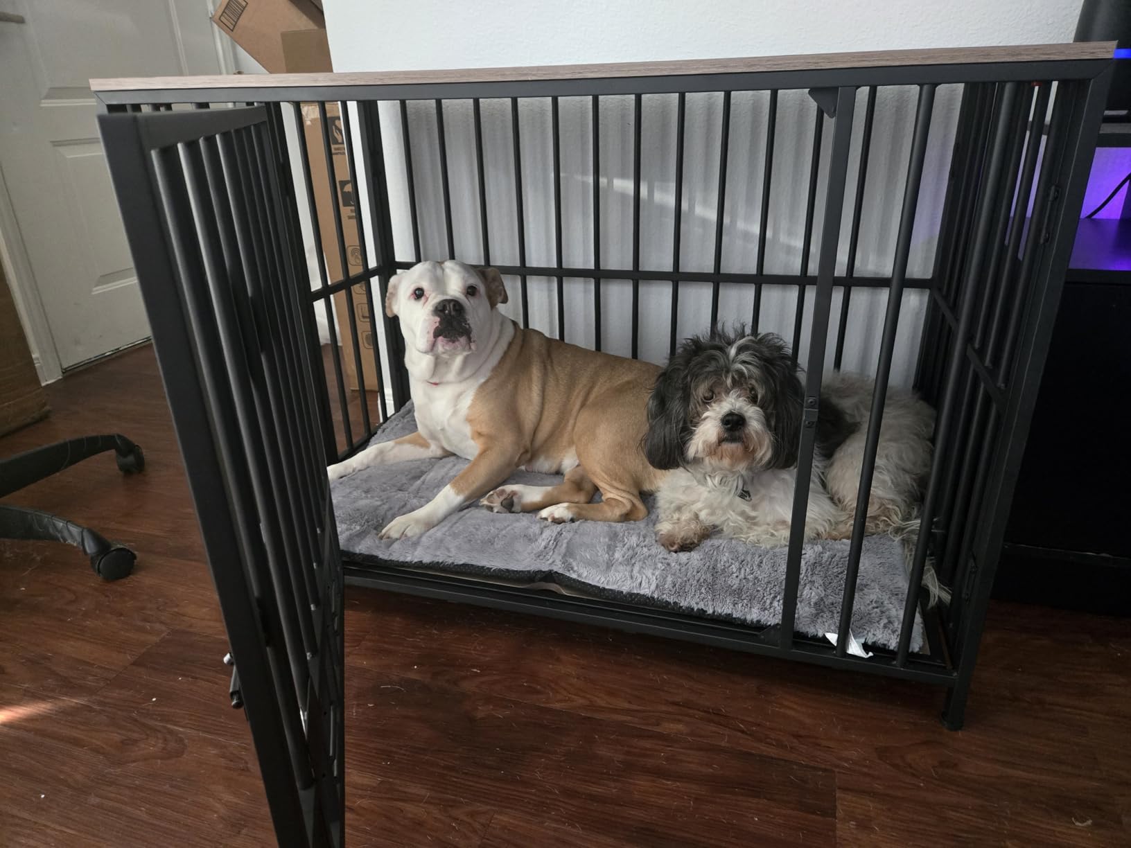 Dog Crate Pad Washable Dog Bed for Crate Medium Cozy Mat 36-Inch Gray - Ultra Soft Kennel Pad, Anti-Slip Bottom, Fits Most Metal Crates customer photo 1