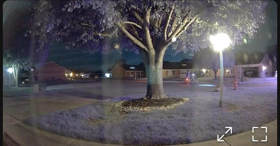 Ring Indoor Cam (newest model) - Home or business security in 1080p HD video, White customer photo 2