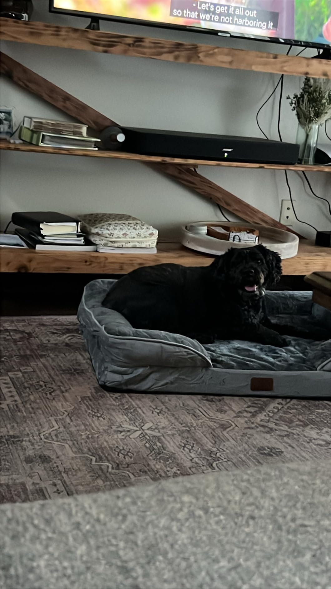 Bedsure Orthopedic Dog Beds for Small Dogs with Removable Washable Cover | 24