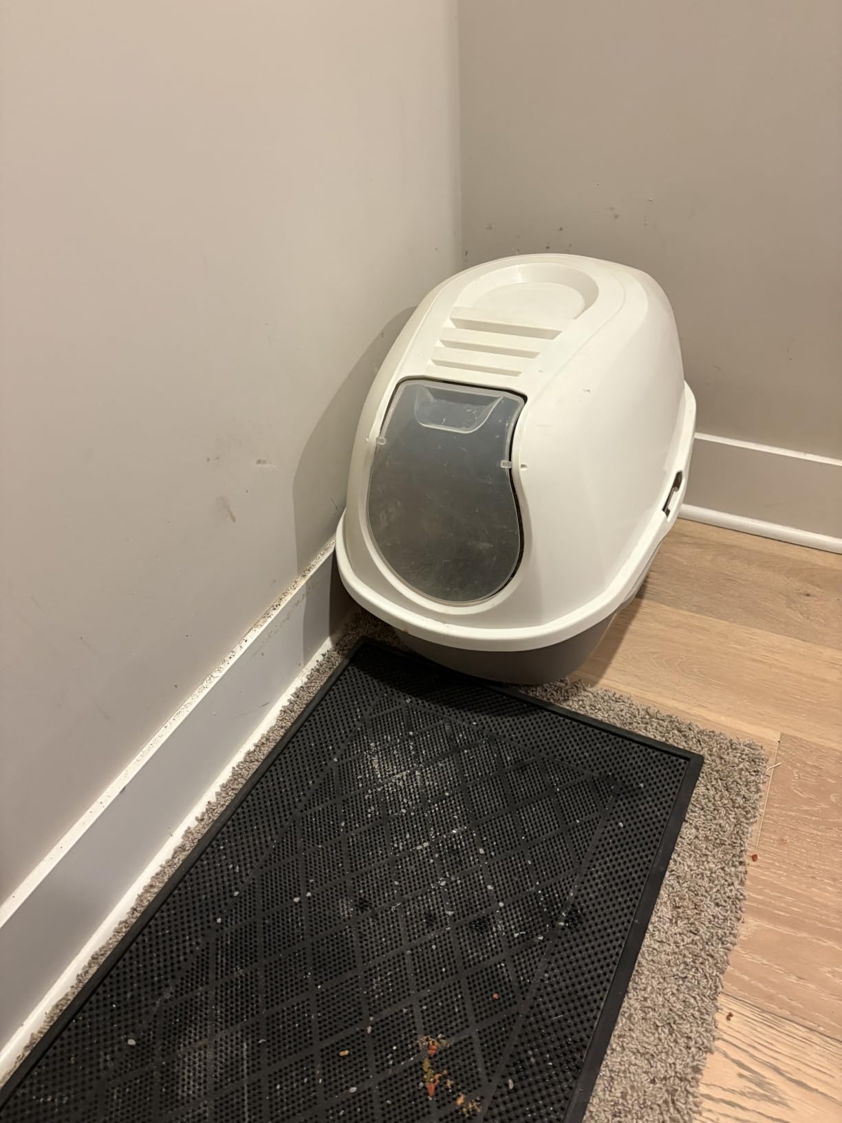 Whisker Litter-Robot 4, White - Automatic, Self-Cleaning Cat Litter Box, Helps Reduce Litter Box Odors, Works with Any Clumping Litter customer photo 1