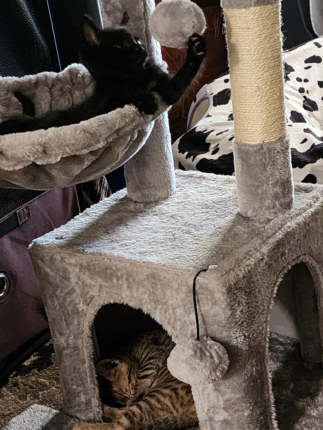 Pesofer Cat Tree, Small Cat Tower with Sisal Scratching Post and Hammock Light Gray customer photo 1