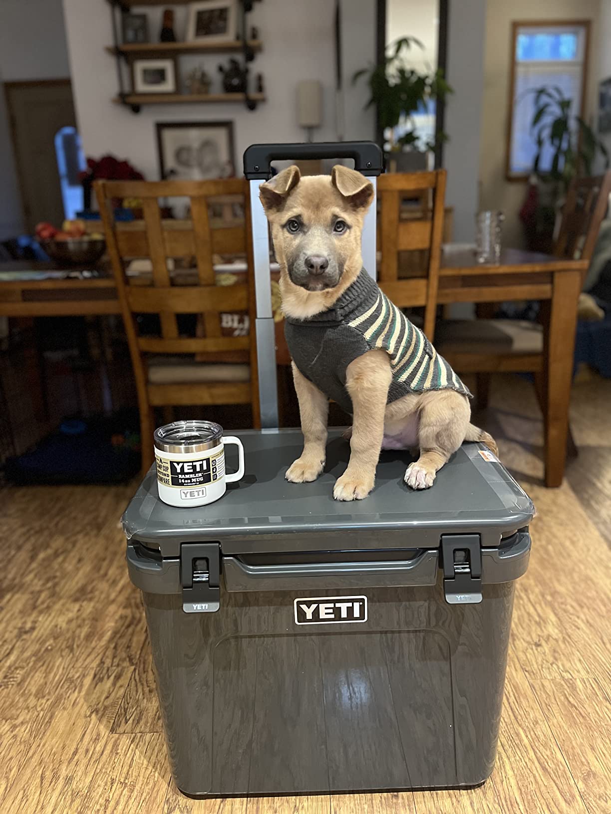 YETI Roadie 60 Wheeled Cooler with Retractable Periscope Handle customer photo 1