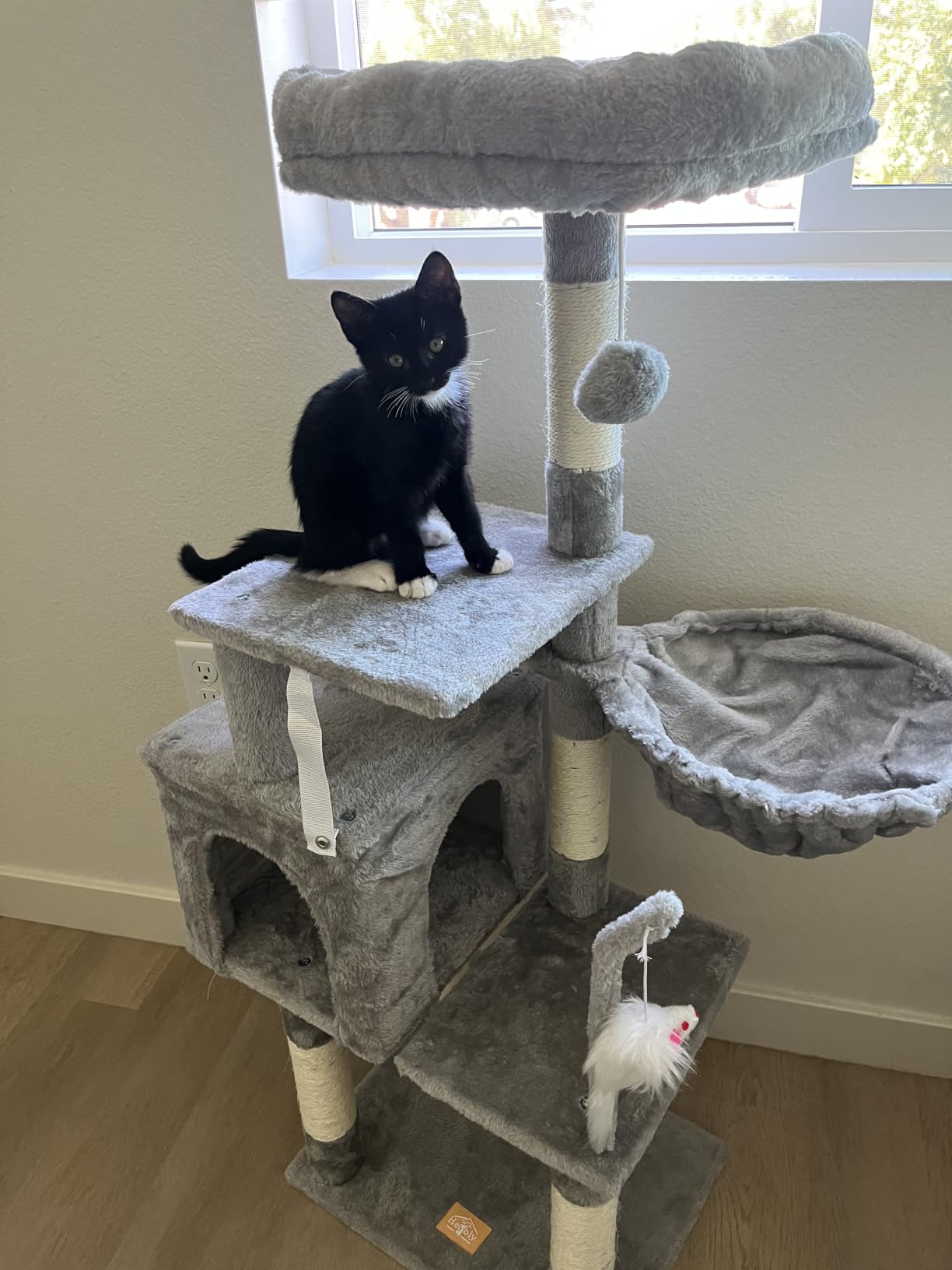 Heybly Cat Tree with Toy, 43.3 inch Cat Tower for Indoor Cats HCT004SG | Cat Condo with Durable Sisal Scratching Posts, Cat House with Padded Plush Perch, Cozy Hammock, Smoky Gray customer photo 2
