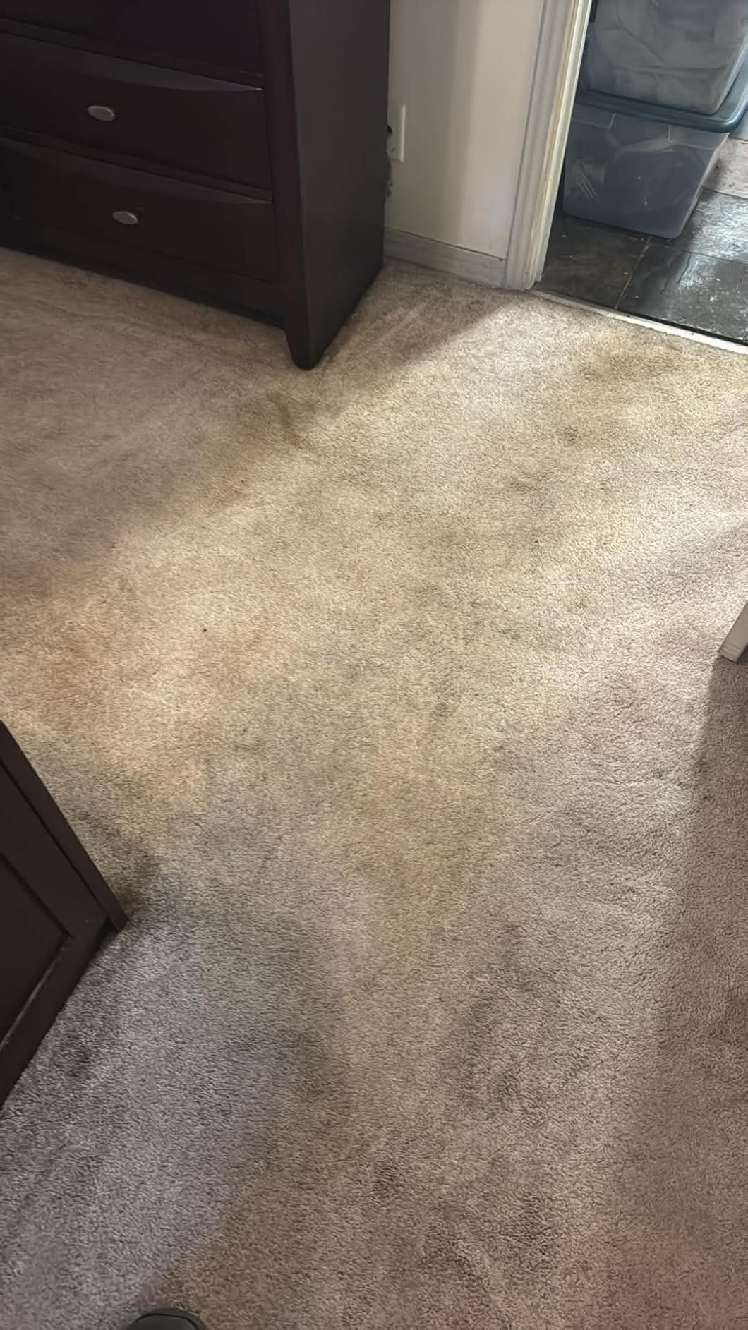 BISSELL ProHeat 2X Revolution Pet Pro Plus Carpet Cleaner, 3588F customer photo 2