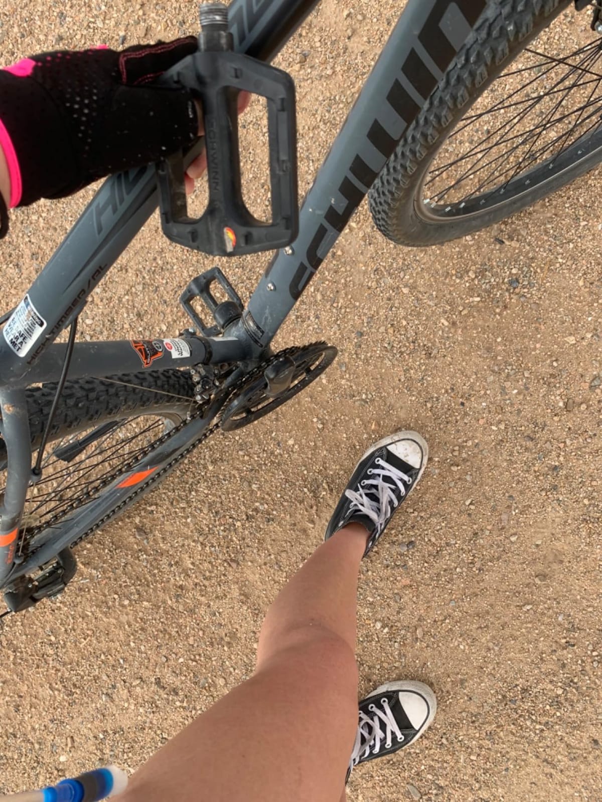 Schwinn High Timber Mountain Bike for Adult Youth Men Women Boys Girls, 24 to 29-Inch Wheels, 7 or 21-Speeds, Front Suspension, Aluminum and Steel Frame Options customer photo 1