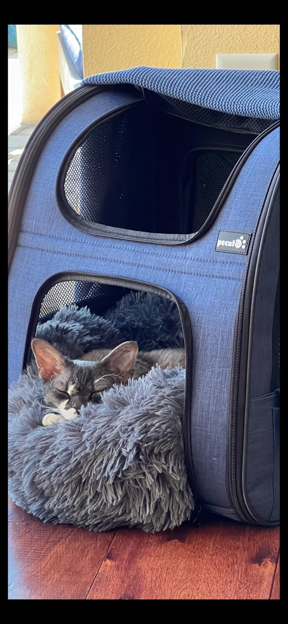 Whiskers & Friends Cat Beds for Indoor Cats, Fluffy Cat Bed Small to Large | Orthopedic Soft Plush Calming Donut Bed, Washable Round Pet Bed, Sized for Kitten to Large Cats & Puppy to Small Dogs customer photo 1
