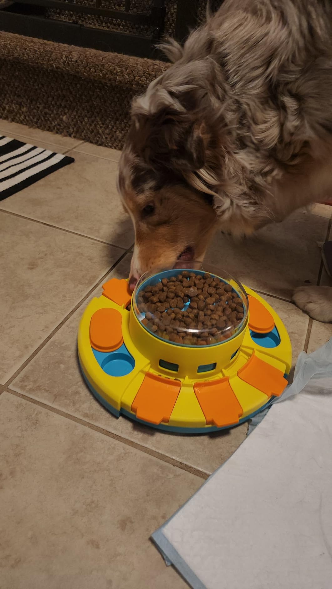 Potaroma Dog Puzzle Toy 2 Levels, Slow Feeder, Pup Food Treat Feeding Dispenser for IQ Training and Entertainment for All Breeds 4.2 Inch Height customer photo 1