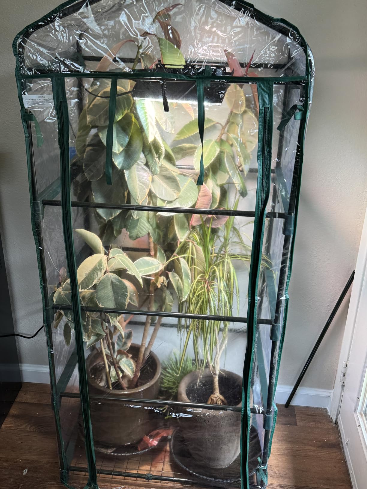 Mini Greenhouse for Outdoors Indoor: 27 x 19 x 62-Inch Ohuhu Small Green House with 4 Tier Shelves, Portable Plastic Greenhouses with Heavy Duty Transparent PVC Cover for Seedling Patio Porch Balcony customer photo 1