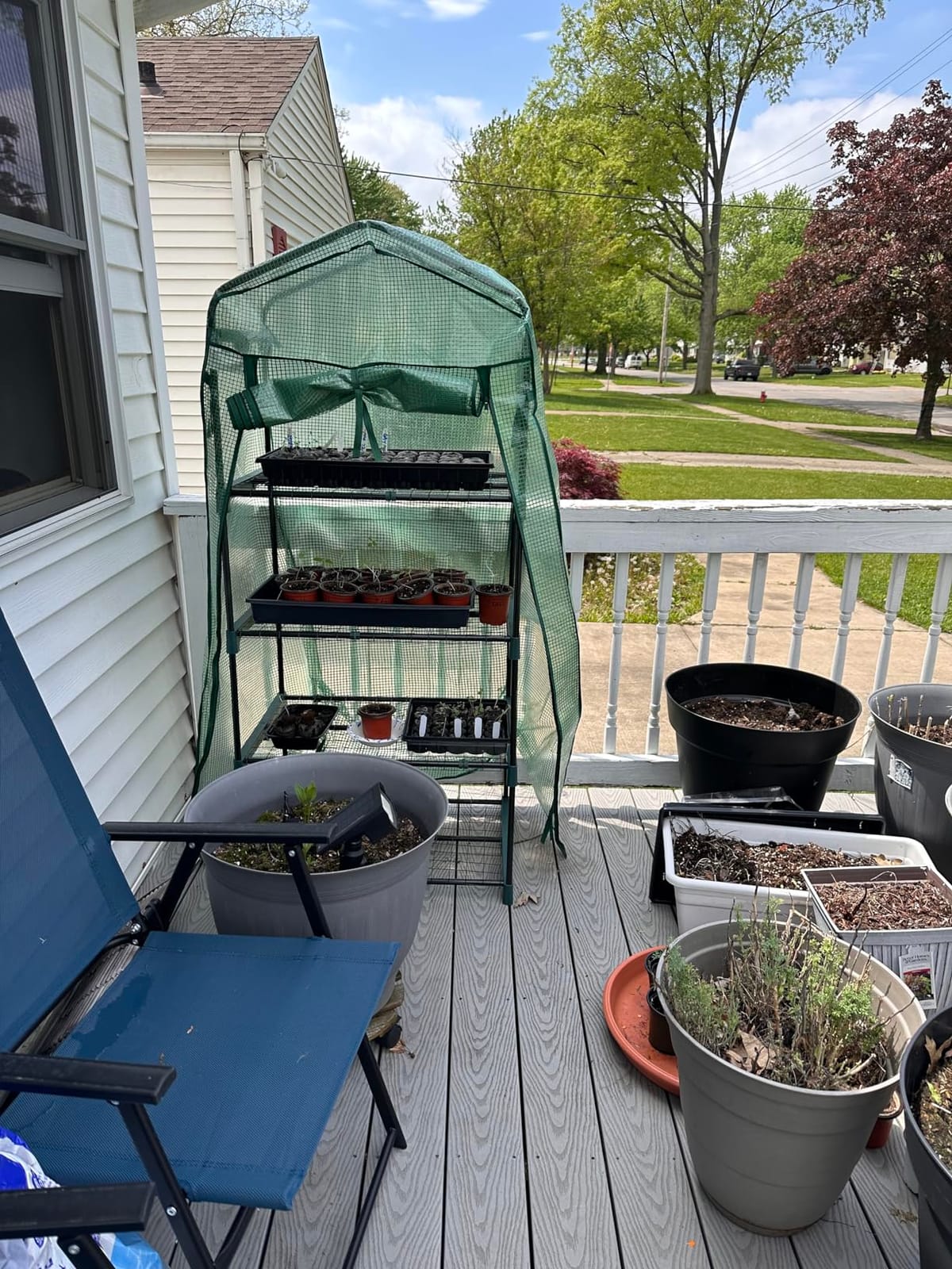 Mini Greenhouse for Outdoors Indoor: 27 x 19 x 62-Inch Ohuhu Small Green House with 4 Tier Shelves, Portable Plastic Greenhouses with Heavy Duty Transparent PVC Cover for Seedling Patio Porch Balcony customer photo 2