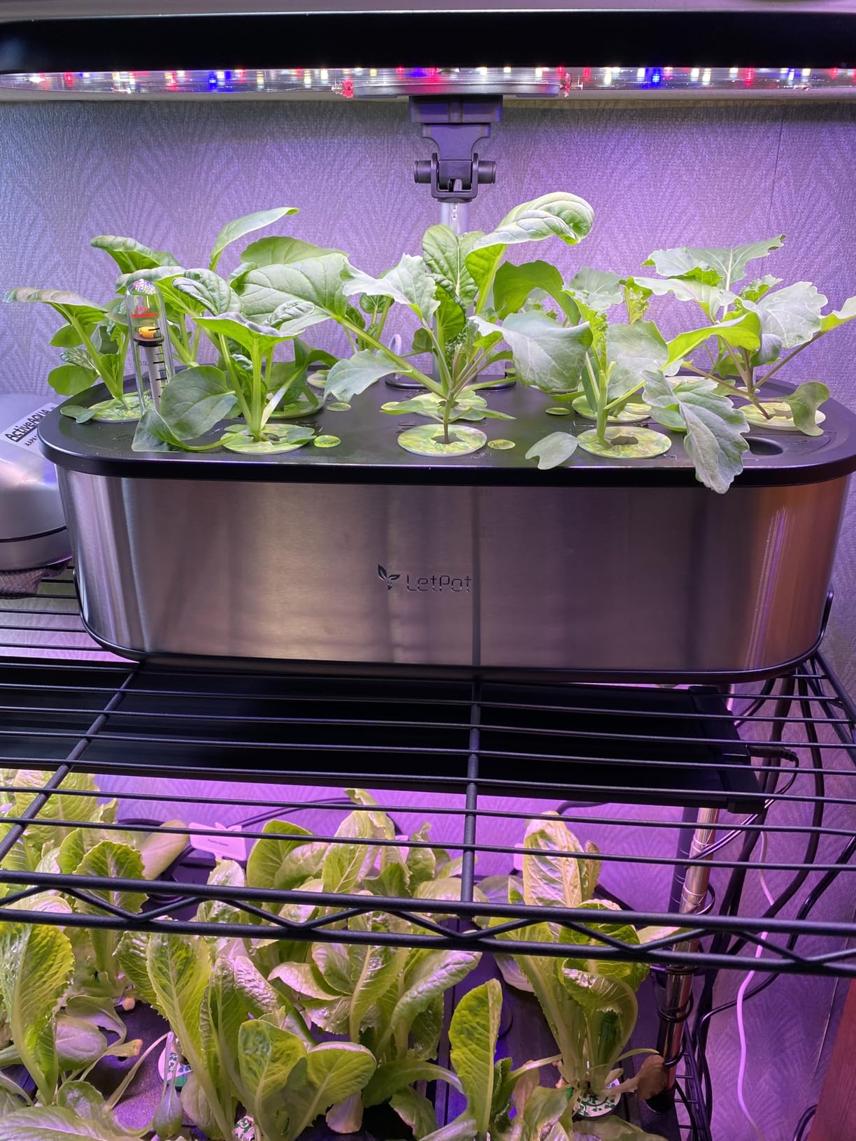 LETPOT LPH-SE Hydroponics Growing System, 12 Pods Smart Herb Garden Kit customer photo 1