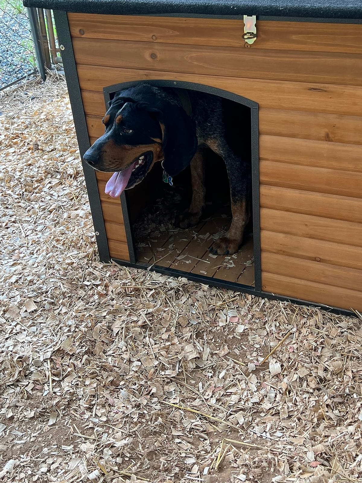 Aivituvin Insulated Dog House Outdoor & Indoor Wooden Dog Kennel for Winter with Raised Feet Weatherproof for Small & Medium & Large Dogs,Unique All-Around Iron Frame customer photo 1