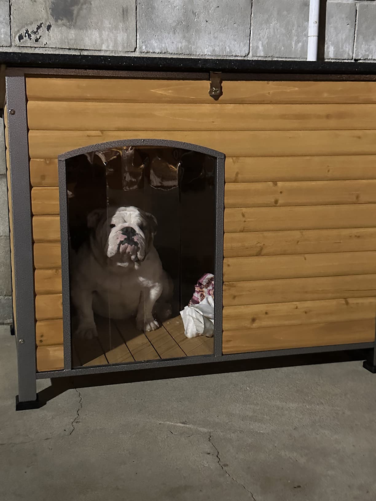 Aivituvin Insulated Dog House Outdoor & Indoor Wooden Dog Kennel for Winter with Raised Feet Weatherproof for Small & Medium & Large Dogs,Unique All-Around Iron Frame customer photo 2