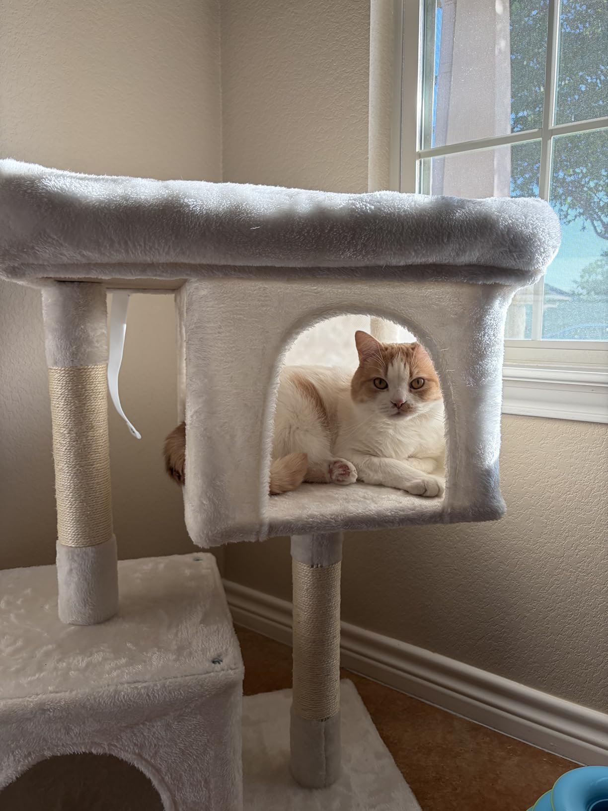 Feandrea Cat Tree, 26.4-Inch Small Cat Tower, Cute Plush Condo, Light Gray customer photo 2