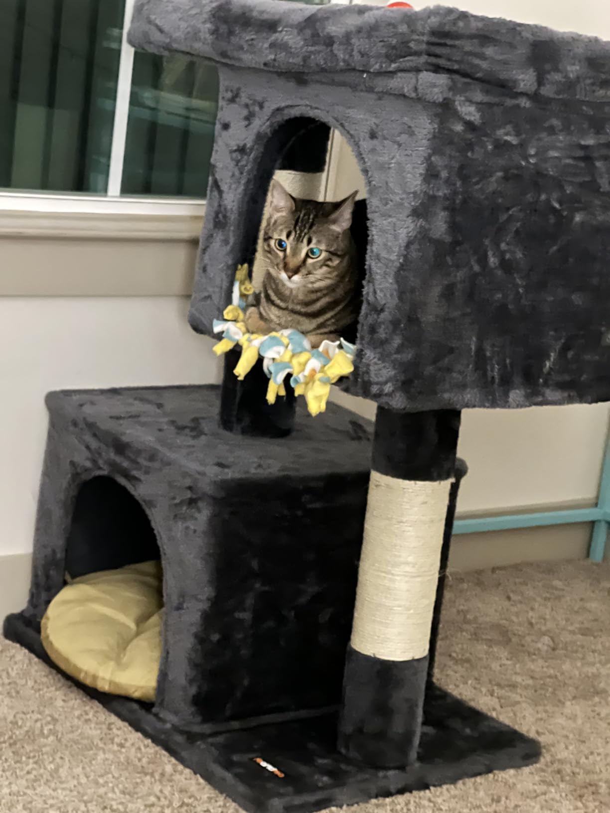 Feandrea Cat Tree, 26.4-Inch Small Cat Tower, Cute Plush Condo, Smoky Gray | for Kittens up to 7 lb, with 2 Sisal Scratching Posts, Cozy Perches, 2 Spacious Cave, Easy to Assemble, UPCT611G01 customer photo 2