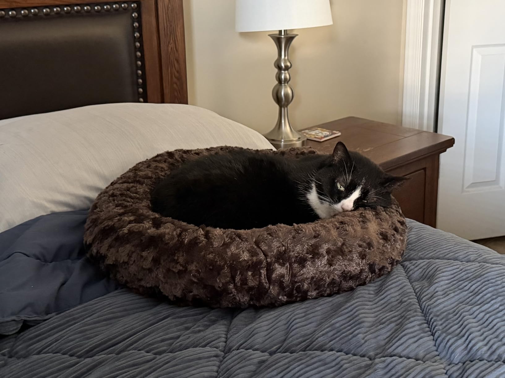 Heated Pet Beds for Indoor/Outdoor Cat & Dog Orthopedic Foam Warming Cat Beds Auto Temperature Control, Washable Cover with Waterproof Liner Thermo Kitty Electric Heating Bed customer photo 2