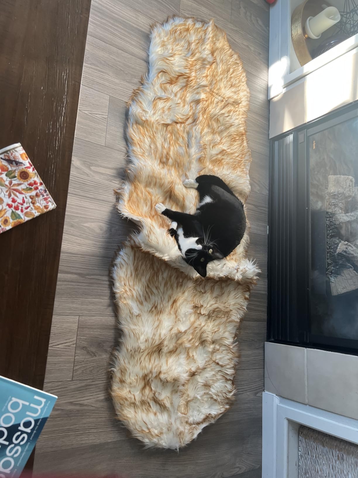 Faux Fur Rug White Fluffy Sheepskin Area Rug, Ultra Soft Shaggy Plush Rug Bedroom Living Room Sofa Floor Kids Room Bedside (4 x 6 ft Sheepskin) customer photo 1