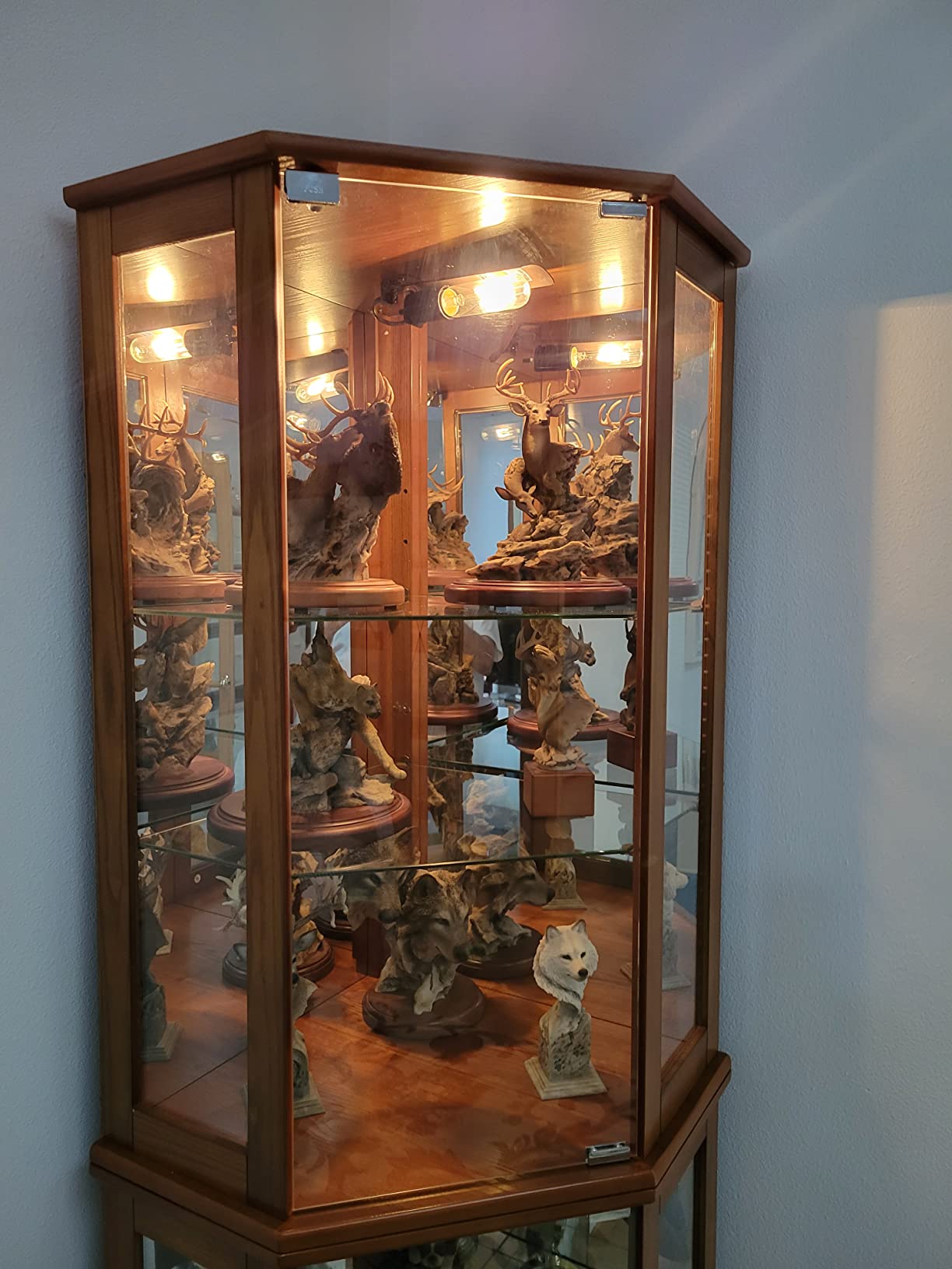 BELLEZE Lighted Curio Cabinet Corner Display Case for Living Room, China Hutch with Tempered Glass Doors and Shelves, Wooden Accent Cabinet, Bar and Liquor Storage Area - Ashfield (Oak) customer photo 2