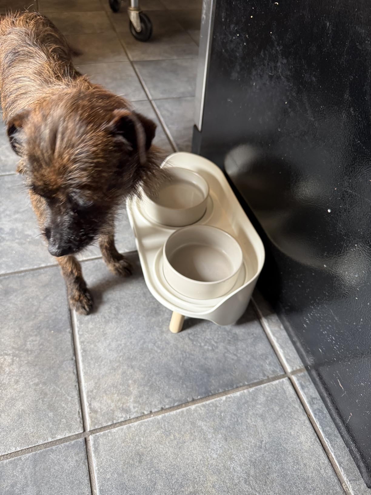 Elevated Ceramic Dog Bowl Set - Double Dog Feeding Bowls with Stand Splash Proof - Raised Dishes for Food and Water - Ideal for Small to Medium Dogs - 2 x 720 ml - 11.3 oz - White customer photo 2