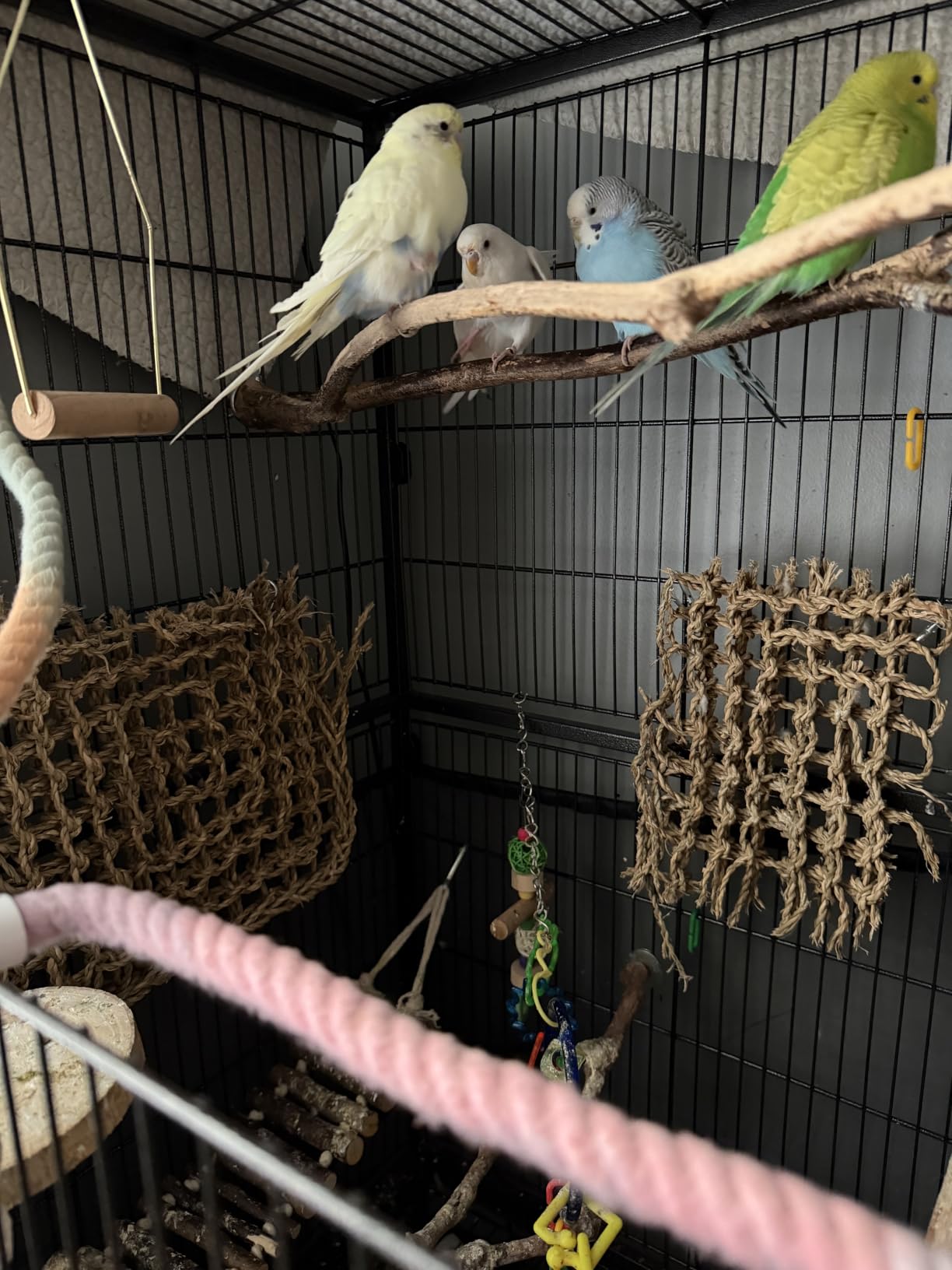 Yaheetech 60.5inch Extra Large Bird Cage Metal Parrot Cage Flight Cage for Cockatiels African Grey Quaker Green Cheek Sun Conure Medium Birds Parrots customer photo 2