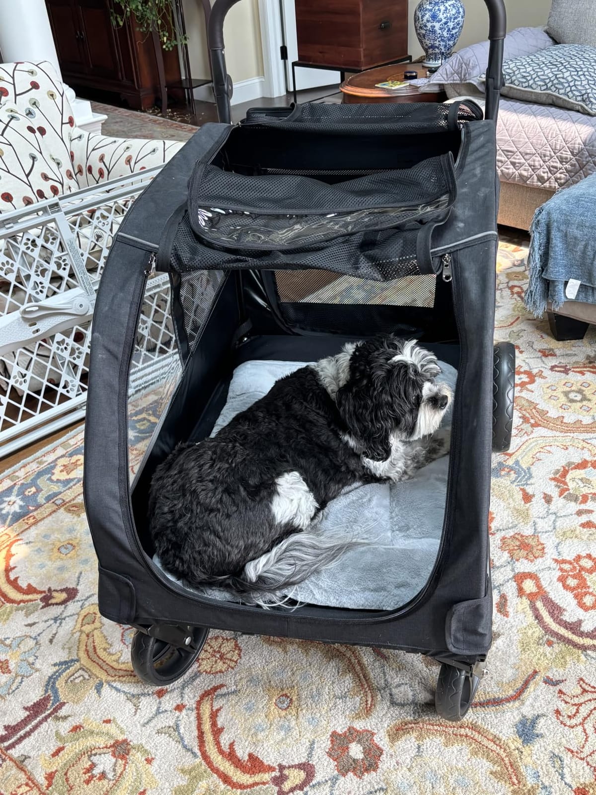 Saudism Dog Stroller for Large Dogs, Extra Large Pet Stroller for Medium Dogs, Dog Wagon Carriage, Foldable Design, Adjustable Handle, with Pocket, Up to 130 lbs, Blue customer photo 1