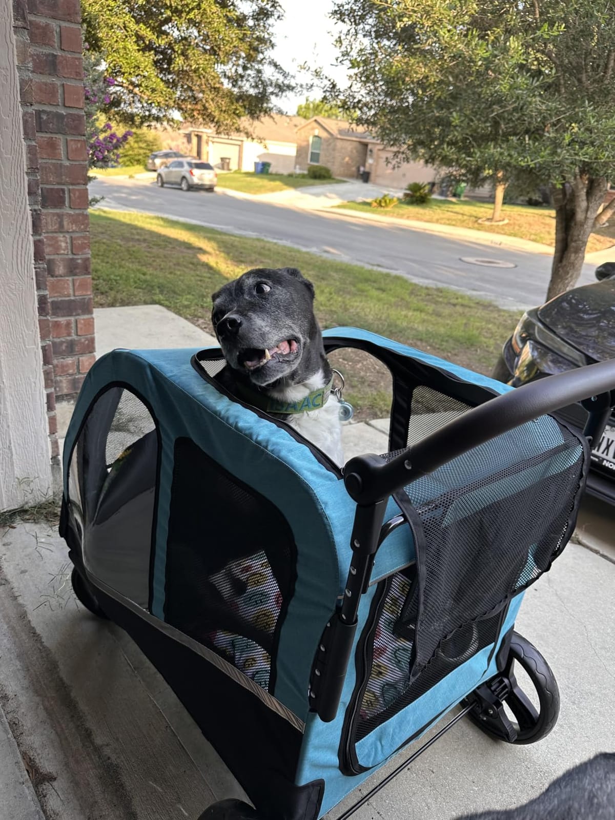Saudism Dog Stroller for Large Dogs, Extra Large Pet Stroller for Medium Dogs, Dog Wagon Carriage, Foldable Design, Adjustable Handle, with Pocket, Up to 130 lbs, Blue customer photo 2