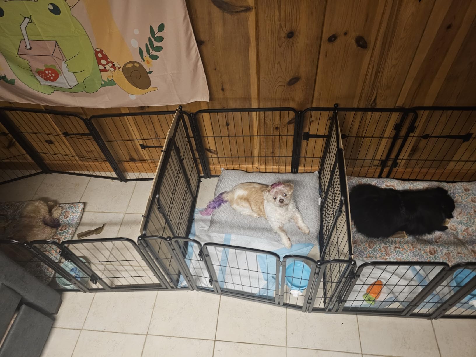 FXW Homeplus Indoor Dog Playpen, 24