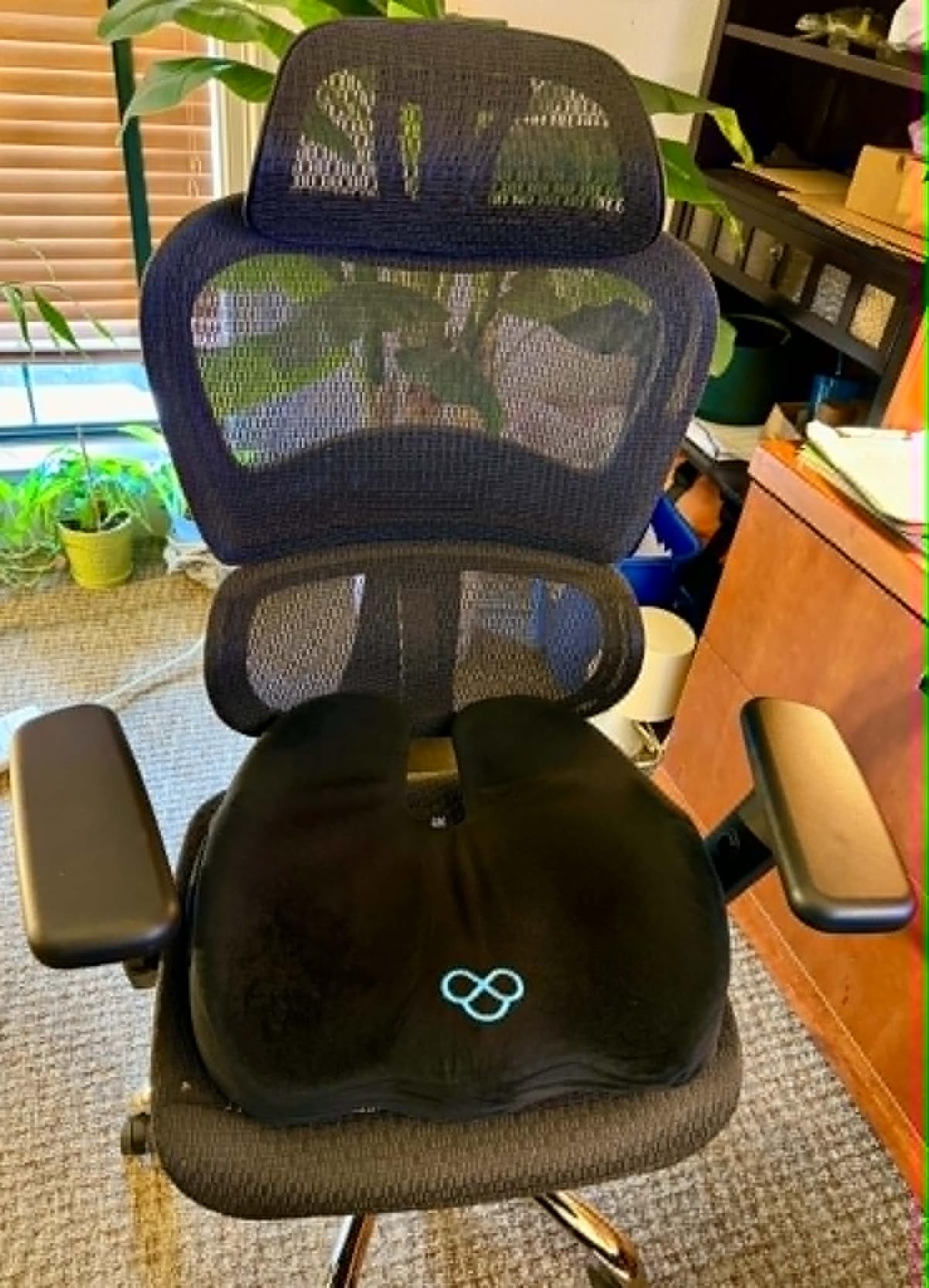 BlissTrends Memory Foam Seat Cushion for Office Chair & Car Seat, Black | Ergonomic Tailbone & Sciatica Support with Removable Velvet Cover for Pressure Relief and Long Sitting Comfort, 3.3