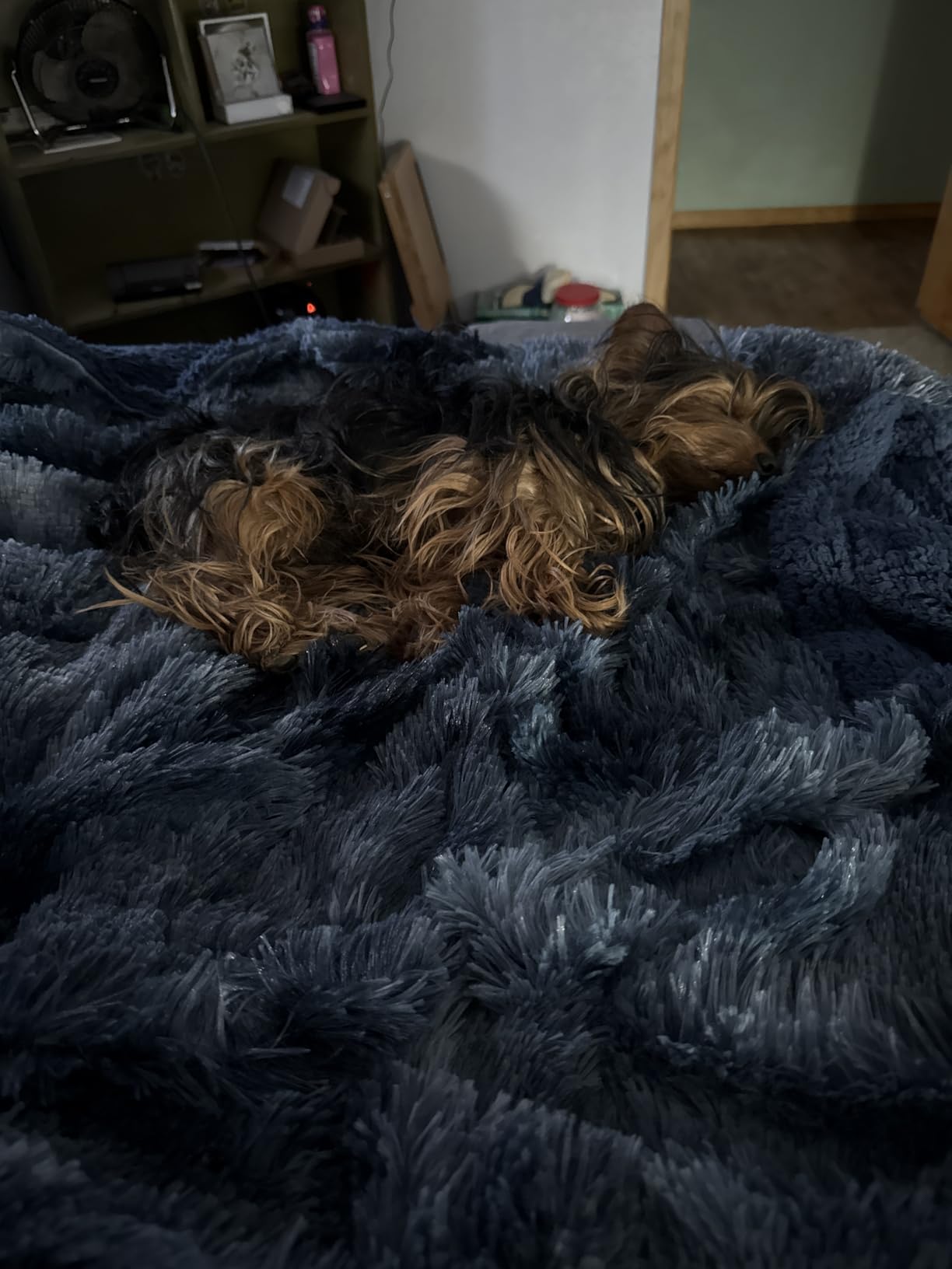 Bedsure Waterproof Dog Blanket for Small Dogs Cats Fluffy Faux Fur, 30x40 | Plush Fuzzy Reversible Pet Blankets for Couch and Dog Bed, Soft Calming Throw Cat Puppy Blanket Washable, Dog Gift, Brown customer photo 2