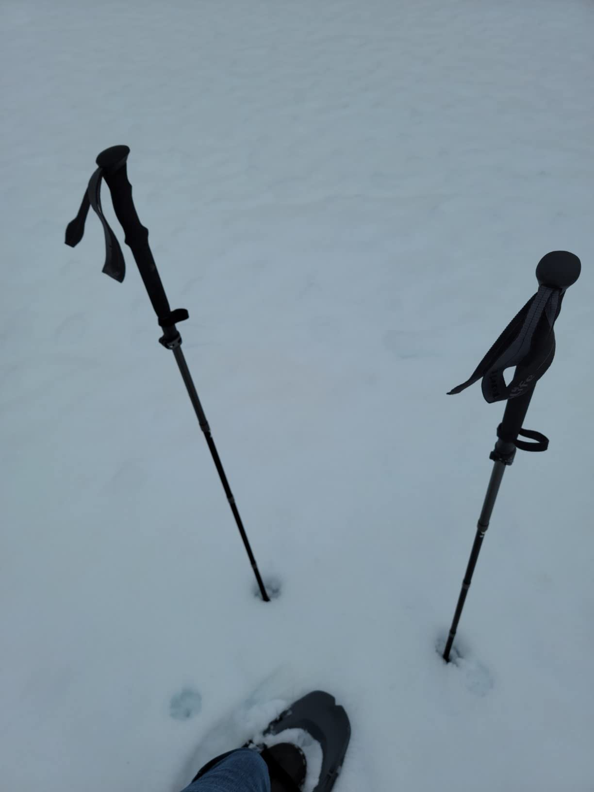 TheFitLife Folding Trekking Poles for Hiking, Lightweight Walking Sticks | 7075 Aluminum, EVA Grip, Metal Flip Locks customer photo 2