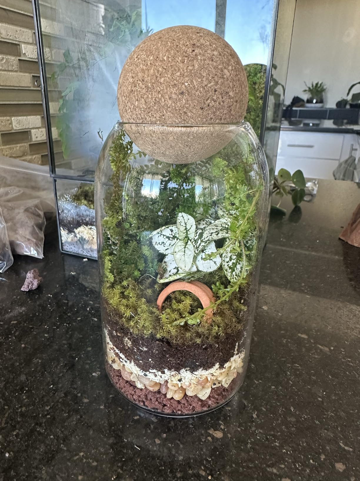 Glass Terrarium with Airtight Wood Lid (Ball Cork) | Closed Terrarium Planter | Clear Glass Bottle Jar Container | 800ml / 27oz | Moss Terrarium Jar | Indoor Ecosystem Decoration Gifts (Only Jar) customer photo 2