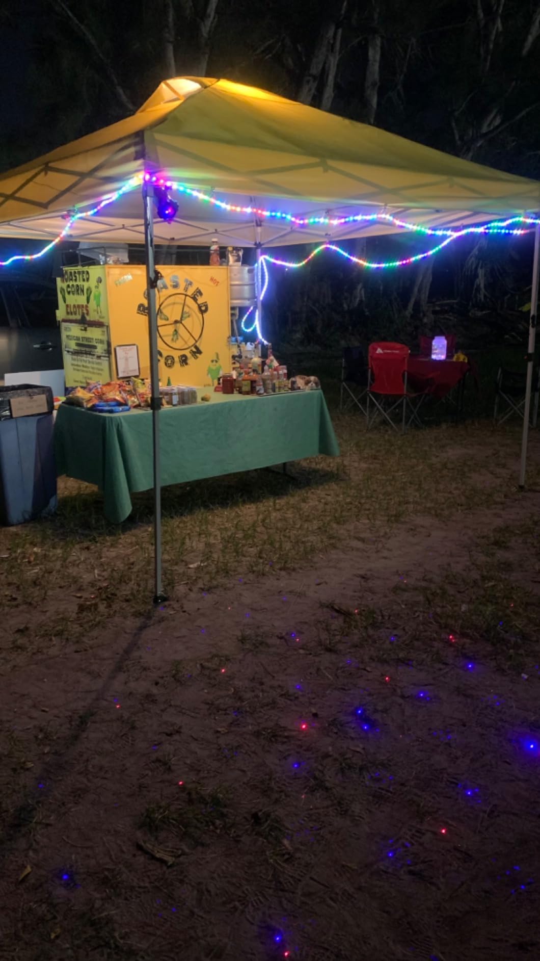 Laser Christmas Projector Lights Outdoor, Firefly Light Show for Trees | 3 Colors,RF Remote,Waterproof,Indoor Holiday Halloween Decoration,Christmas Gift,Wedding,Home Decor,Party,Garden customer photo 2