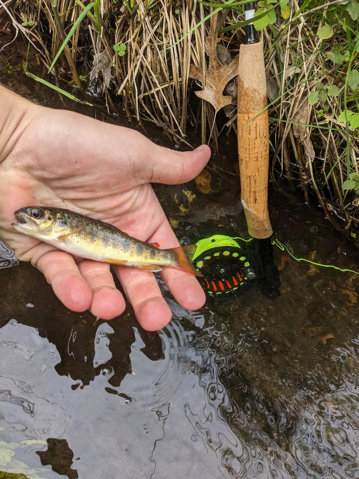 Fly Fishing Combo Starter Kit, Graphite Rod and Reel with Case | Graphite fly rod with cork handle, die-cast aluminum reel, fly box, flies, carry case and accessories for beginners customer photo 1