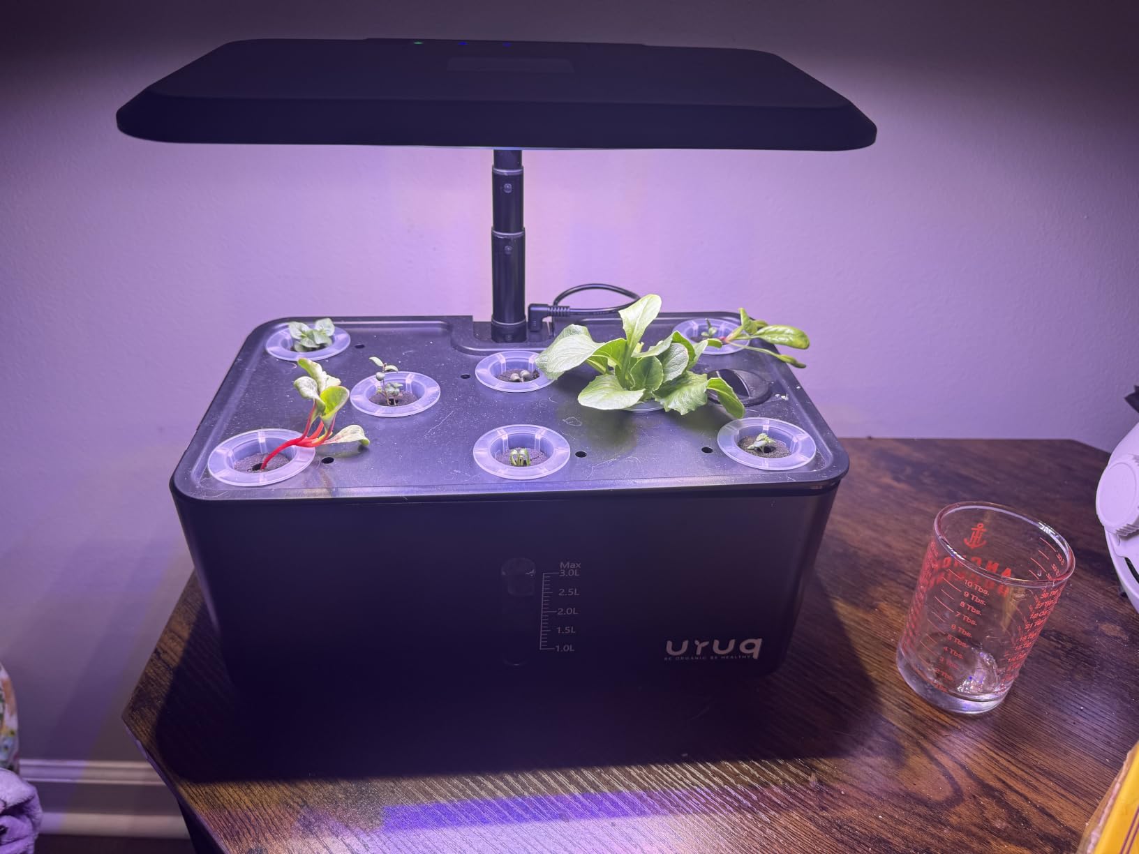 URUQ 8 Pods Hydroponics Growing System with LED Grow Light - White | Quiet Water Pump, Automatic Timer, Adjustable Height for Fresh Herbs, Vegetables, Indoor Gardening, Gifts for Plant Lovers customer photo 2