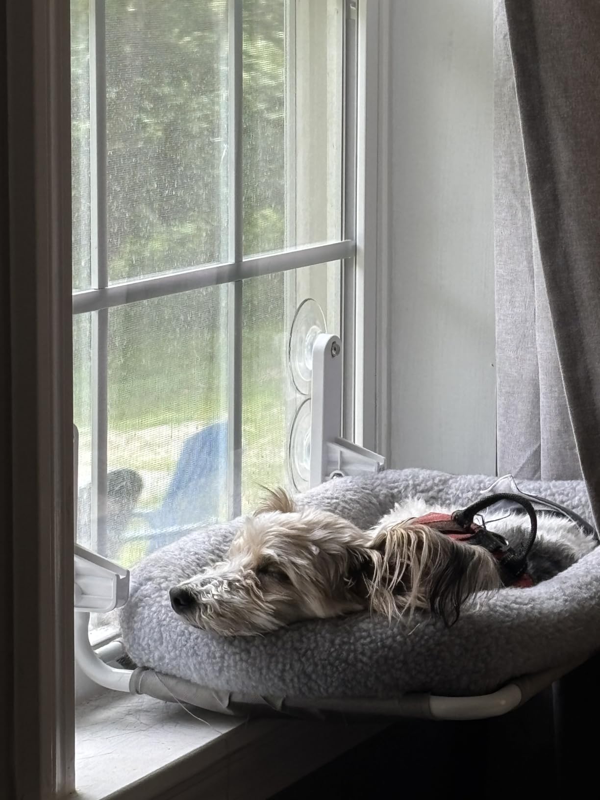 Zakkart Foldable Cat Hammock for Window (White Bolster Bed, Medium) | Cordless, Curtain-Friendly, Machine Washable Bed, Robust Metal Frame, Support up to 40 lbs, 21.6