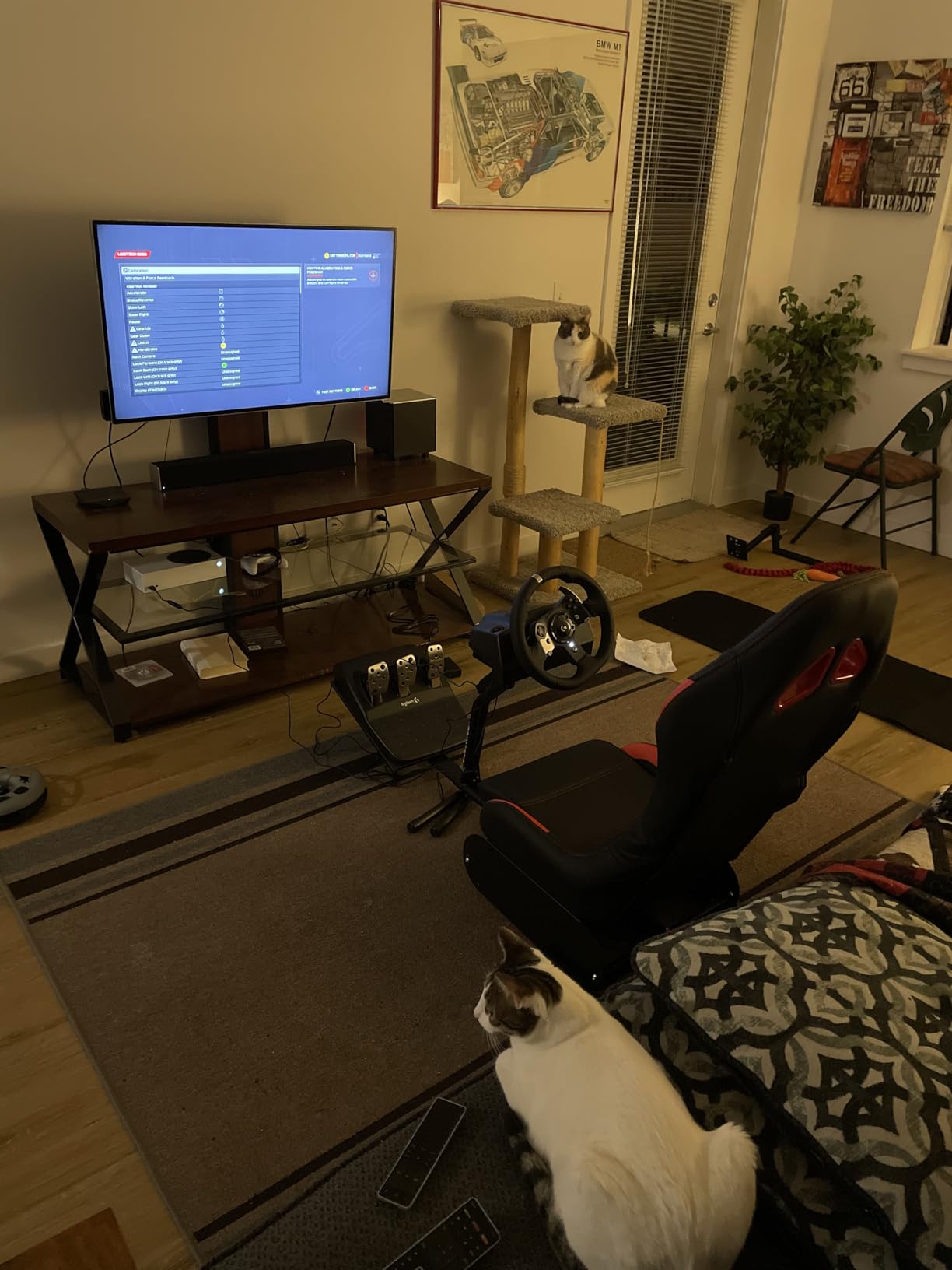 DIWANGUS Racing Simulator Cockpit, Foldable Steel Sim Rig with Seat | Adjustable Wheel Deck Height & Angle, Pedal Angle & Position, Foldable Frame, Fits Logitech, MOZA, Thrustmaster customer photo 2