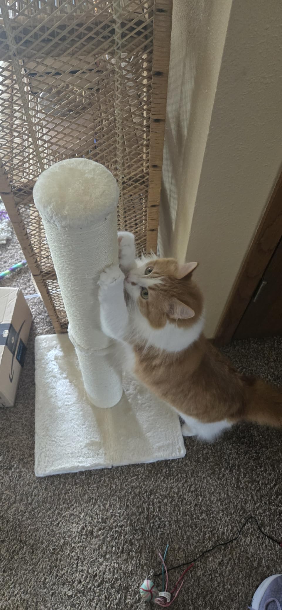 Karolpar 34inch Cat Scratching Post with Natural Sisal Rope 4.3Inch Large Diameter Scratcher Post Tree for Indoor Cats Beige customer photo 1