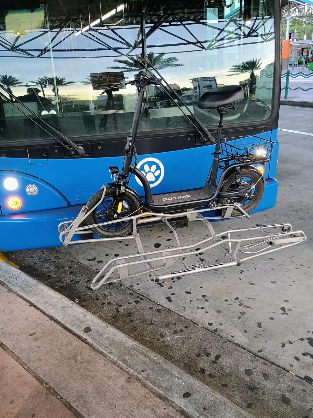 Gotrax 12