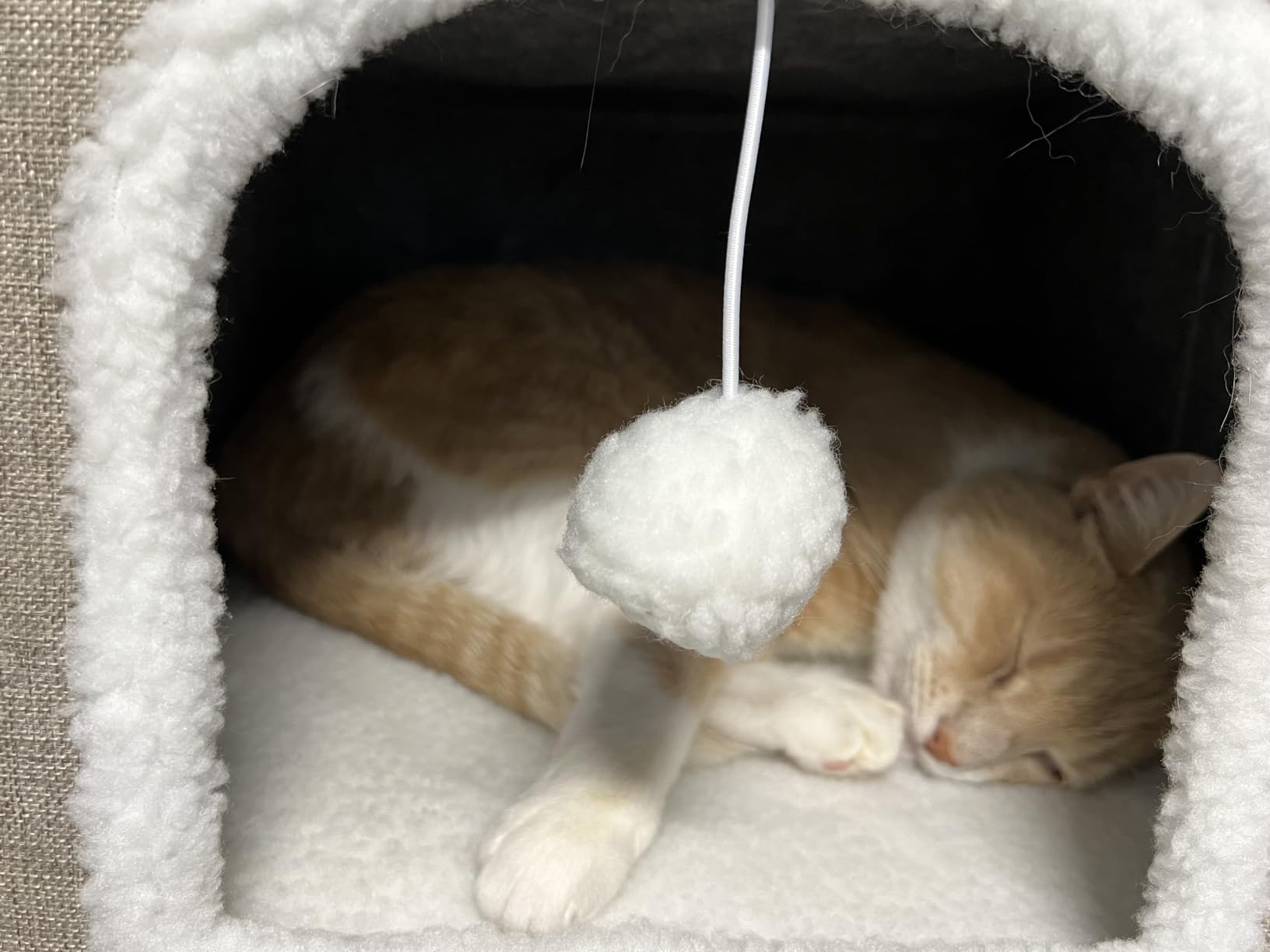 Bedsure 2 Story Cat House for Indoor Cats with Scratch Pad, 18x14x23 Grey, Cat Bed Condo for Multiple Pets, With Fluffy Ball, Foldable Hideaway Pet Cave Cube for Sleeping Kitten customer photo 2
