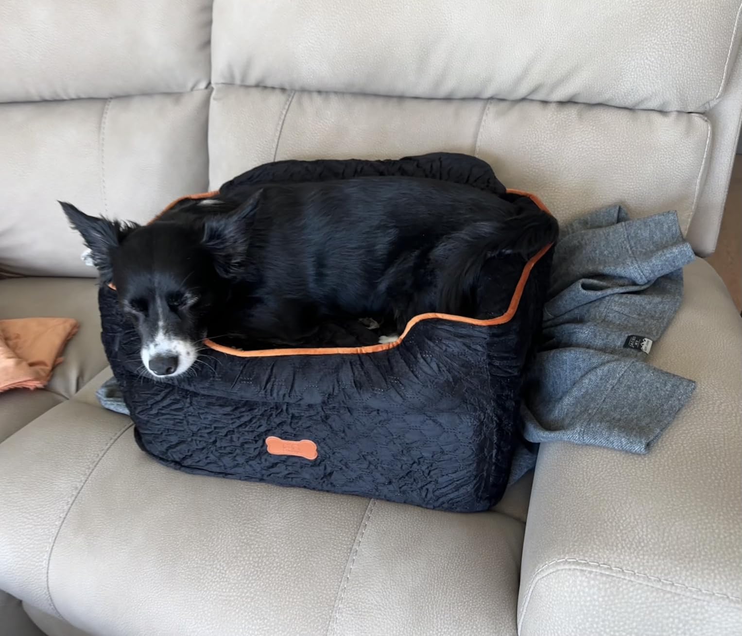 Dog Car Seat for Small Dogs Up to 25 lbs with 6-Inch Memory Foam Cushion | Elevated Booster Seat with Safety Belts, Storage Pockets and Removable Washable Cover for Front or Back Seats, Grey customer photo 1