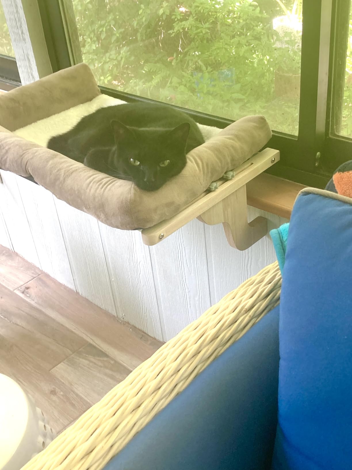 Zakkart Cat Perch for Windowsill with Bolsters (Natural Wood/Gray, L) | Hook-On Windowsill Mount, Machine Washable Hammock Bed, Premium Hardwood & Robust Metal Frame, Hold up to 40 lbs, 24