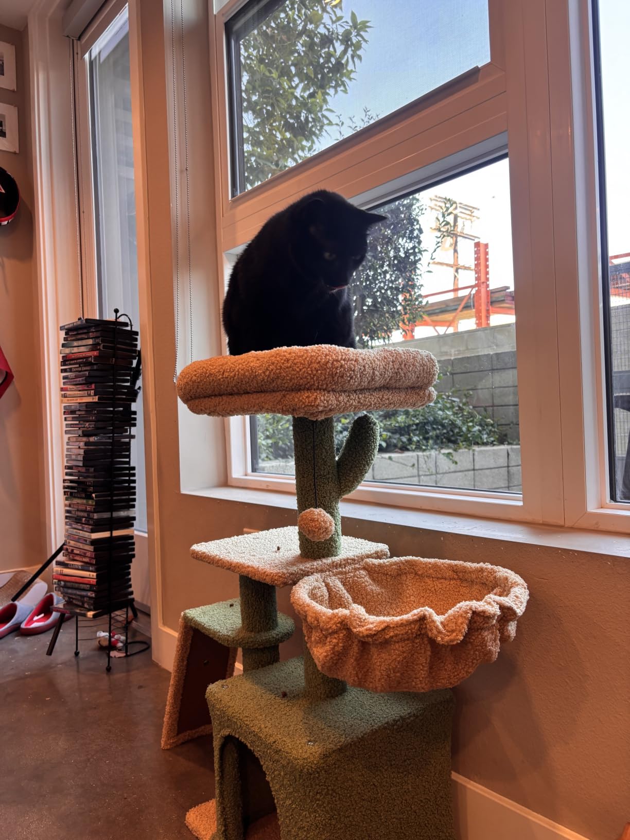 PETEPELA Cactus Cat Tree for Kittens & Small Cats, 32in Cat Tower, Green | Compact 4-In-1: Sisal Ramp, Cozy Hammock, Condo & Washable Top Bed; For Kittens & Small Indoor Cats customer photo 1