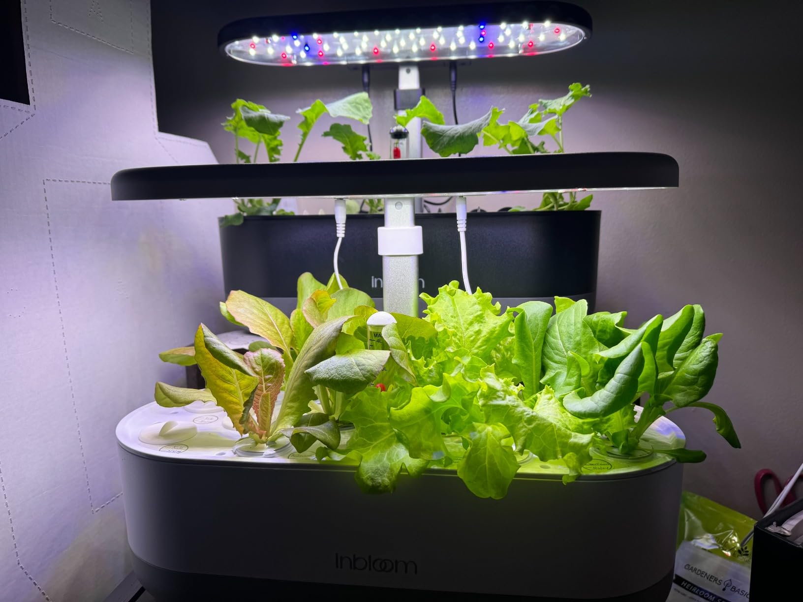 inbloom 12 Pods Hydroponics Growing System Kit, Herb Garden Planter Indoor Kit, Indoor Gardening Hydroponics Growing System with Pods, 4.2L Water Pump, Height Adjustable, Gifts for Woman, Black customer photo 1